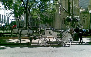 chicago-carriage-ride