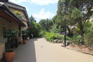 Center-Parcs-Elvedon-shop