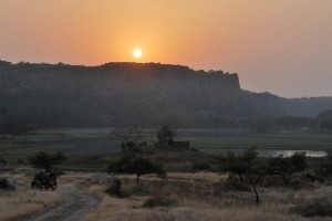 Ranthambore-National-Park