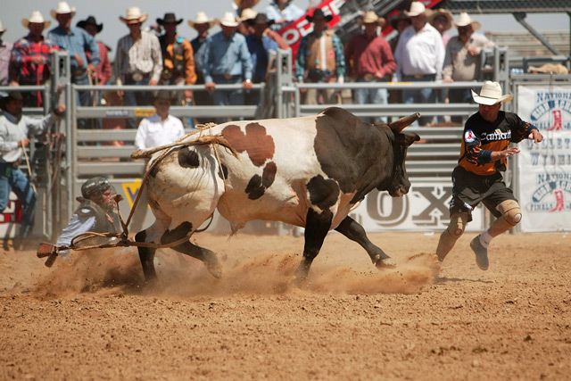 rodeo-finals