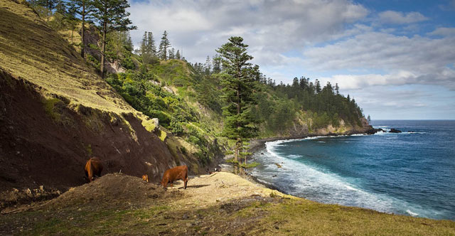 ball-bay-norfolk-island