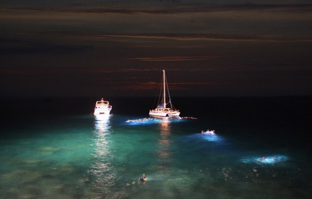 night-diving