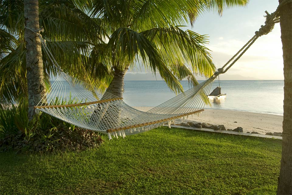 hammock