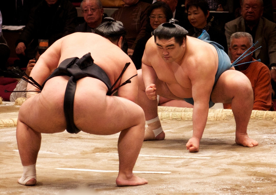 sumo-in-tokyo