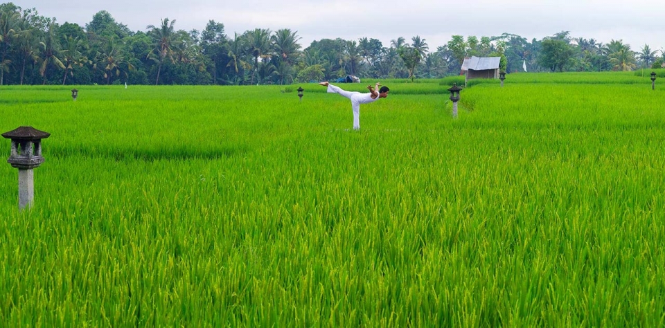 Ubud-bali-yoga