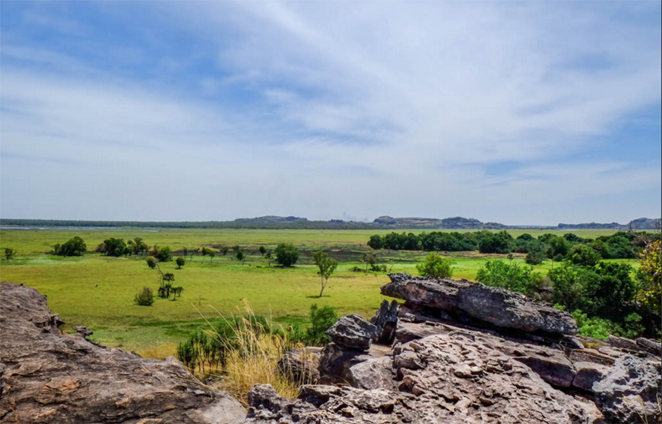 Kakadu