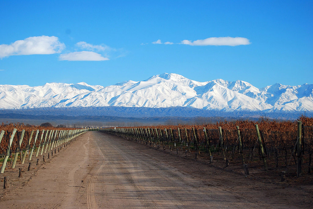 mendoza vineyards