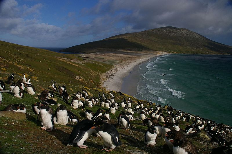 falkland_islands