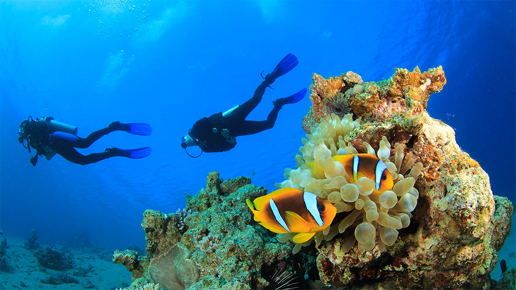 kas-turkey-diving