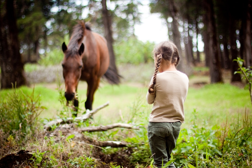 horse-riding