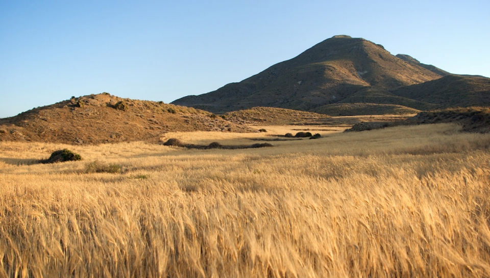 Cabo-de-Gata