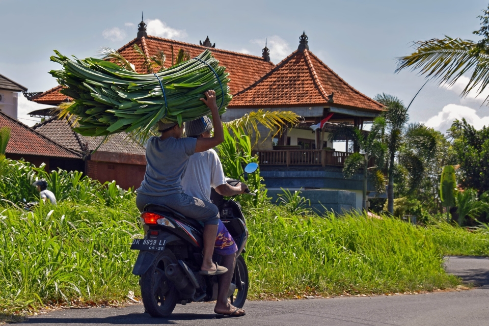 Bali Bike | Luxury Travels | Luxury Travel Blog