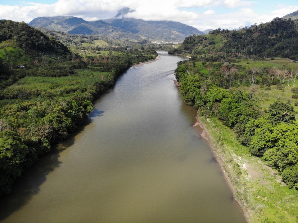 Amazon-river