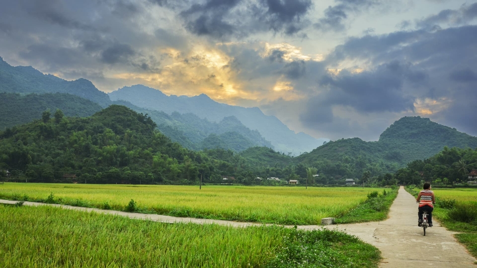 Vietnam Cycling