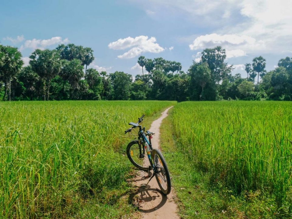 Asia-Vietnam-Cycle