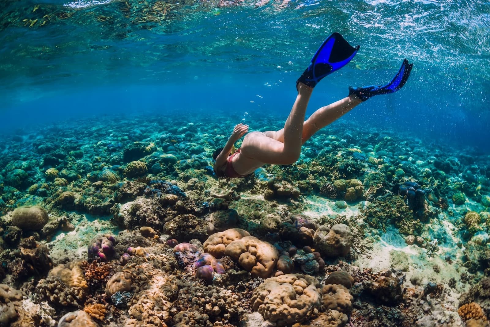 diving in borneo