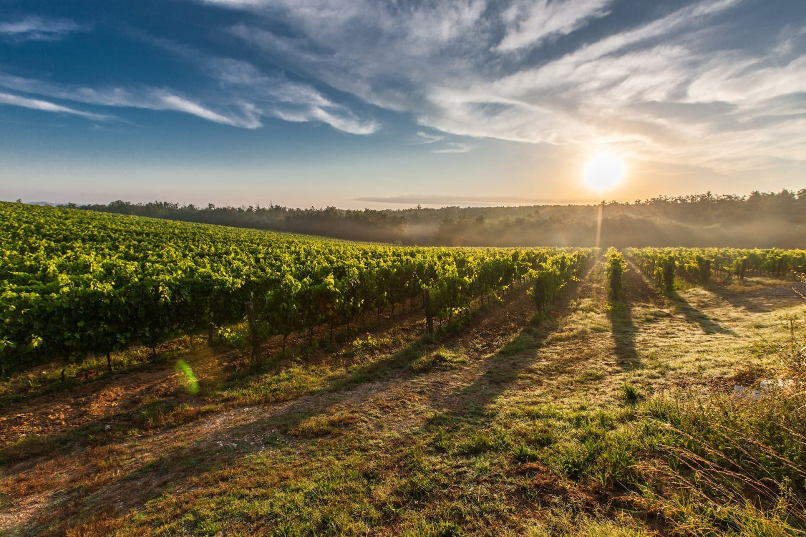 Tuscany