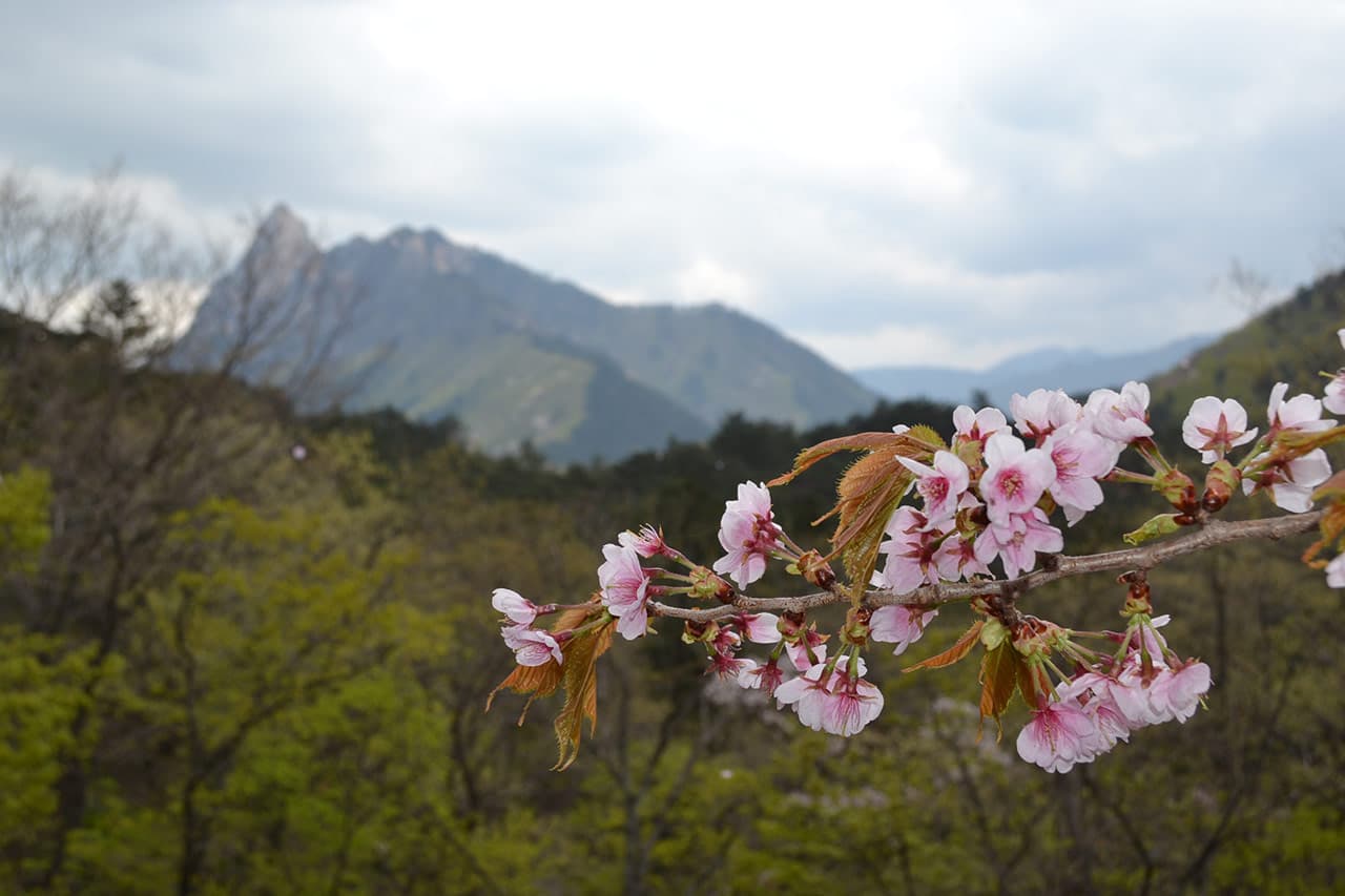 Namsan