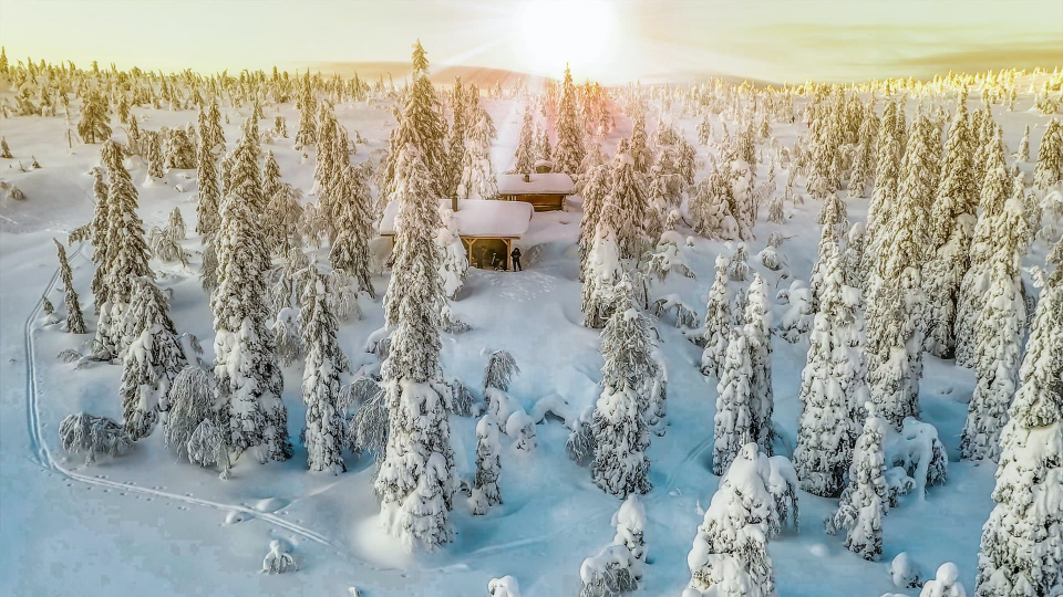 Lapland Northern Lights
