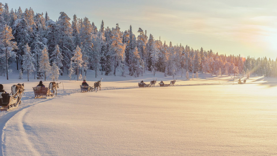 lapland-winter